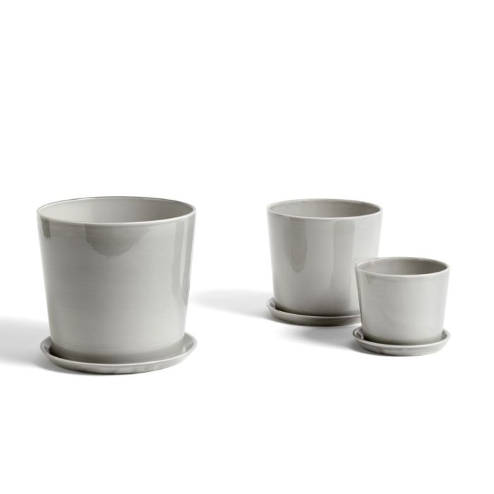 Botanical Family Saucer, L
