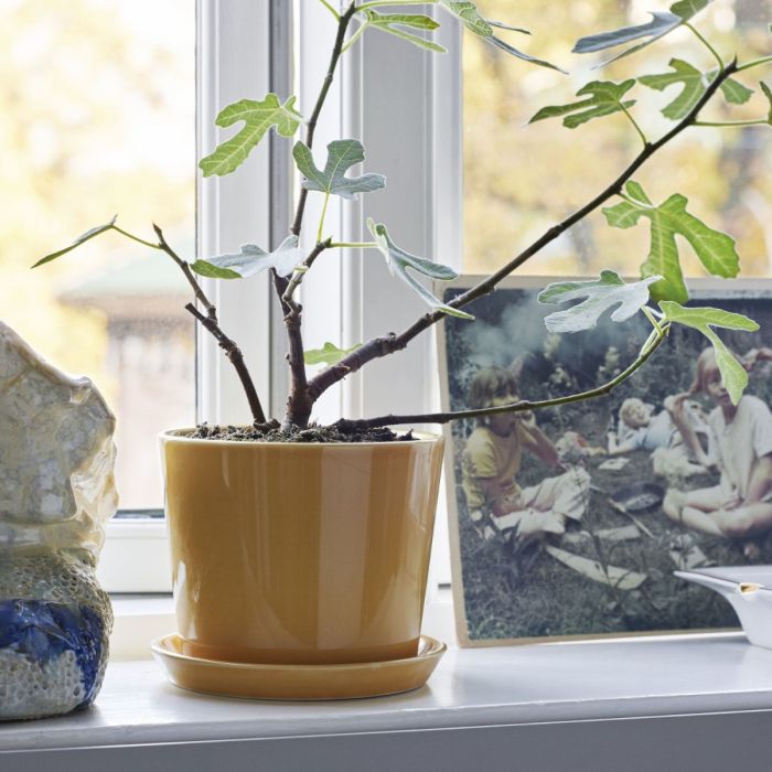Botanical Family Pot, M