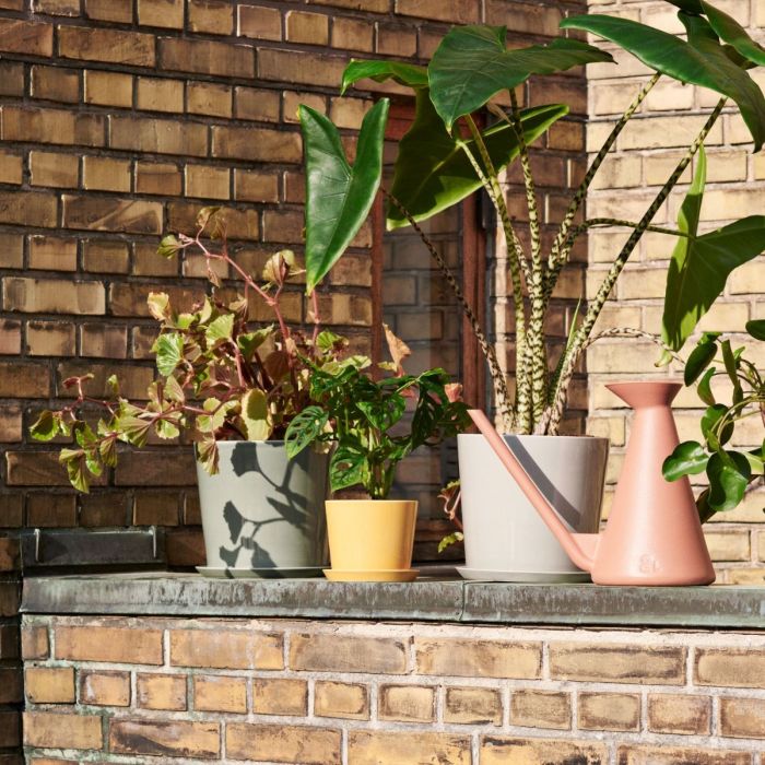 Botanical Family Pot, XL