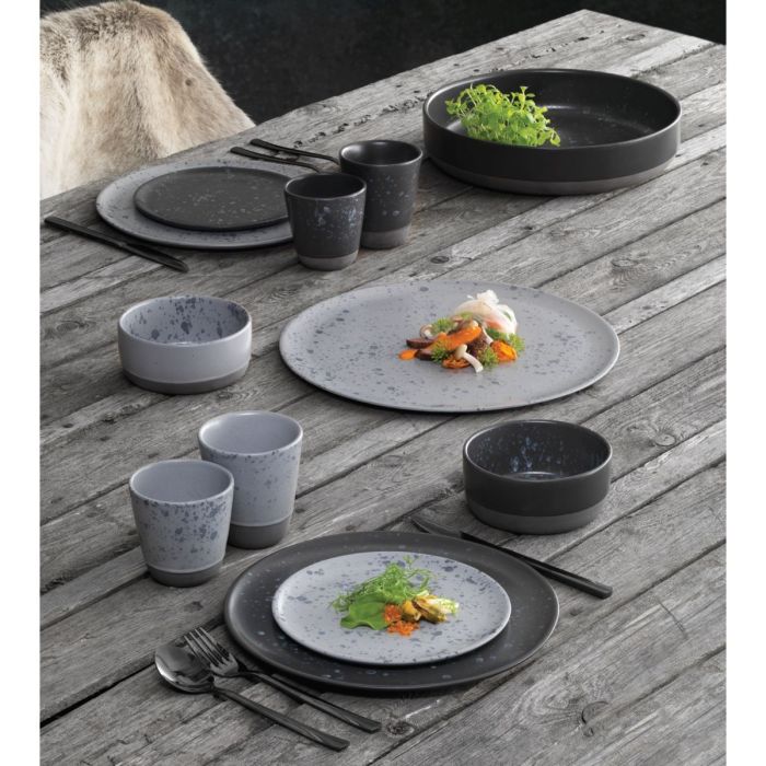 Raw Dinner Plate