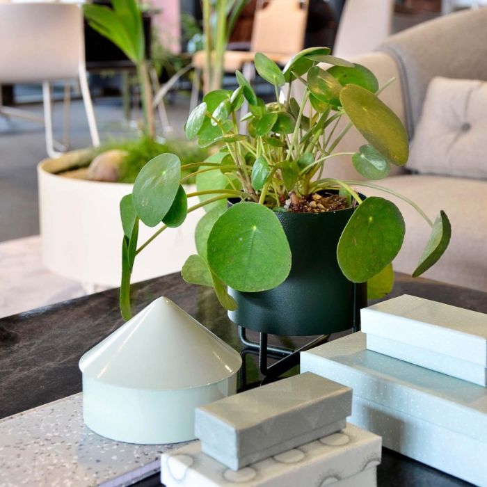 Shima Garden Mini Flowerpot, Ø13cm