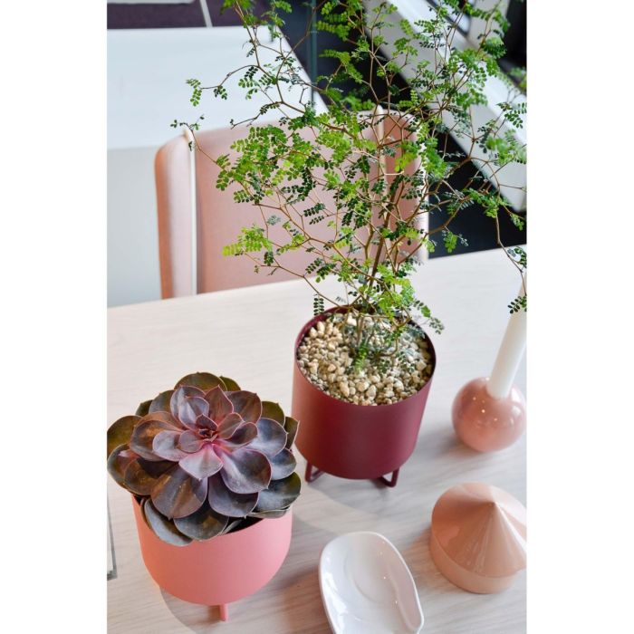 Shima Garden Mini Flowerpot, Ø13cm